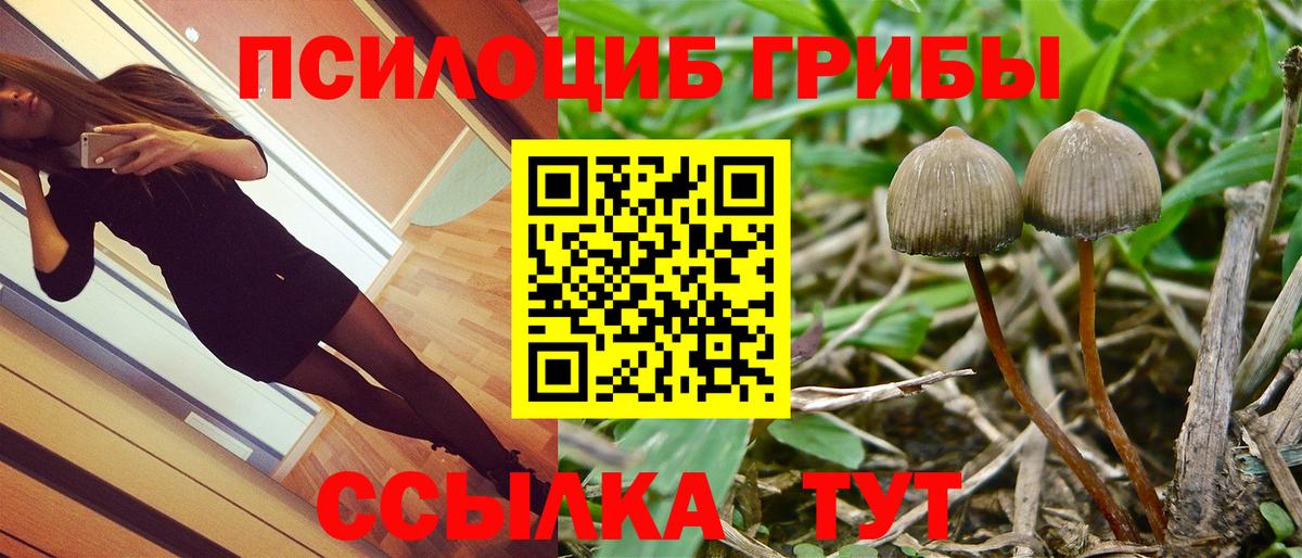Псилоцибиновые грибы прущие грибы Нефтекумск