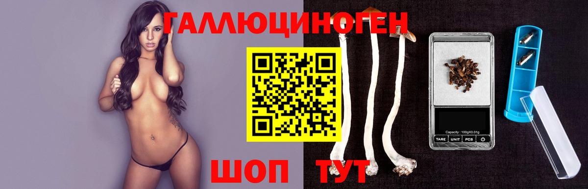 Галлюциногенные грибы Cubensis  Вход с VPN  Нефтекумск  Псилоцибиновые грибы прущие грибы 